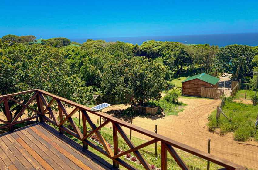 sea view from deck at Salt and Sun in Ponta Malongane