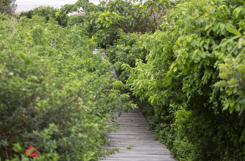 walkway to beach at Aloha 7 in Ponta Mamoli